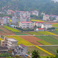 ����̨���ؽӡ�������������������˼�Ŵ��