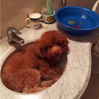 �Ҽҵ��������