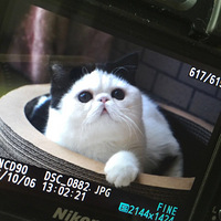 ���Ҽҹù�ͷ��������רע����