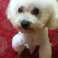 �ҼҵĹ��ʵ�