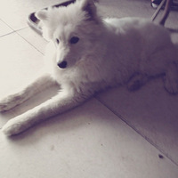 �Ҽҵ�С��ͷ