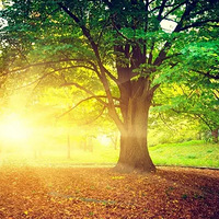 11������·���Ƽ�~ǧ���ȥ���ط���