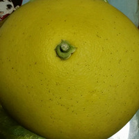 ʳЧˮĵ