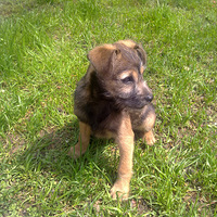 ѩ���ɱ�����