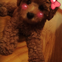 �Ҽ���ֻ����������