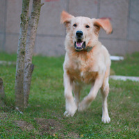 ���紦�ӡ�������õĴ��ë������