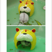 �̲�С����