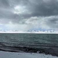 ��������ľ��