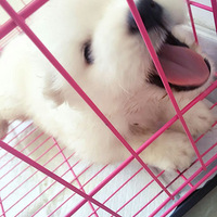 ִ��֮�� ��ʺ����