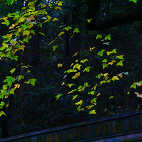 ����̨.�ؽӡ���̦�Թŵ�����Ҷ�ҳ�ϼ����ϼ�͹ŵ�