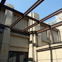 �����������Ŵ���ʲô������������ô���ܸ��Ӻ�һЩ