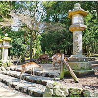 �ձ�ӣ��֮��  