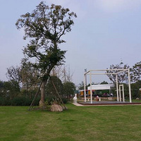 ���������빫԰˽���ң�ֲ��԰���������ߣ�