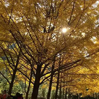 11��22����й���ߴ�Խ-йԴũ�����з�(����