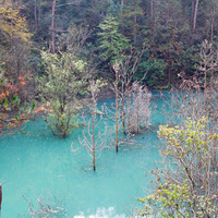 ����̨.�ؽӡ�С�롪���ϻƹŵ�