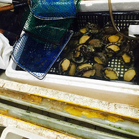 �����´�½���������ʵĺ�ȥ�����󰮣�����С��˽����~