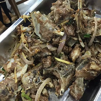 С��è����ʳ֮�ã�����ʩ�����������һĨů��