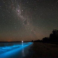 ȫ������õ�ˮ����֮����˹����