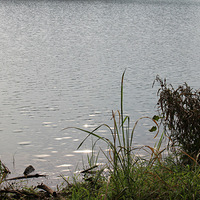 ��2015֮�á�+������