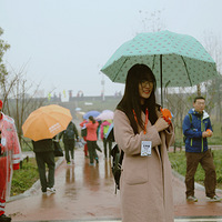 2015�������׽����Ǯ�� ͽ�����