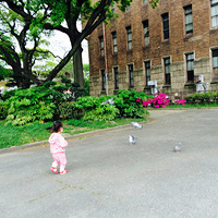 ��2015֮�á��ձ������Ͼ��������μ�֤��ɳ���ÿһ��