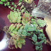 �󱦱�������ÿ������鶼��������~