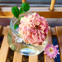 ��Ӻ���Ƕ��ֶ�ŵĽ���-����ƪ�Ѹ���