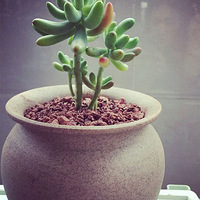 �ҵ���ͷ����(12.18�Ѹ���)