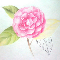 ����Ϣ����������ķҷ���