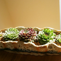 ������л�ϲ��