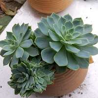 һ�롮�⡯�����ƺ�,�Ӵ�Ǯ����·��