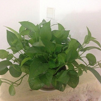 �����Ҫϸ�ĺǻ�