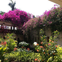 ��2015֮�á�+���ǵİ��嵺