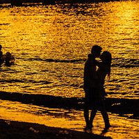 ���Ż�ɴ�������������»��ϲ�ã����� We are coming