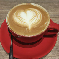 ����+STAYREAL CAFE+���