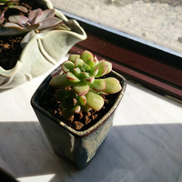 �ֲе�����ʷ~~