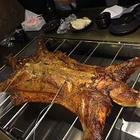 һֻ��ȫ����