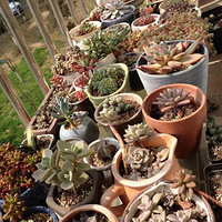 ��ֽ�֡����⡱��