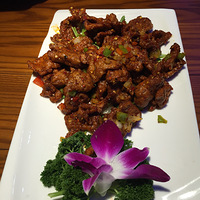 NO��21 Сζ��(�йش�꣩