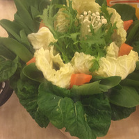 NO��23  ��������