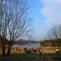 ����é�Ҳ�����