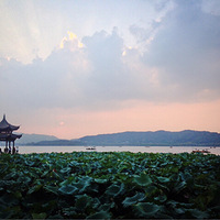 ����2015���С�ܽ����� ��ʵ�����°�