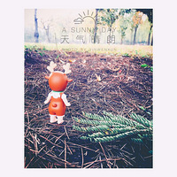 �ҵ�SONNY ANGLE��