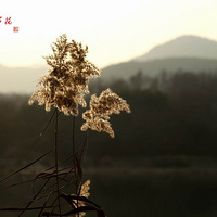 ����«��