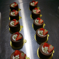 �������硿-ѧϰ��ܽ������