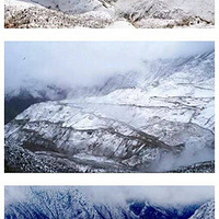 ����ɫ��͵����Ƕ������߹����յ���������