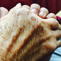 ��ζ----���żҵĴ��뷹   