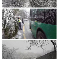 2016���һ��ѩ