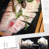 �������硿+�����+��ѩ����ǰ��һ��ʢ��