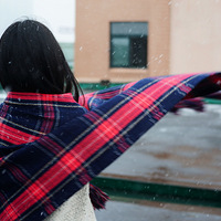 ������èζӰ��ݡ�2016 ����